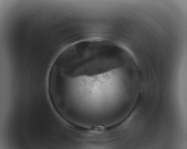 X0000089731483200706281540