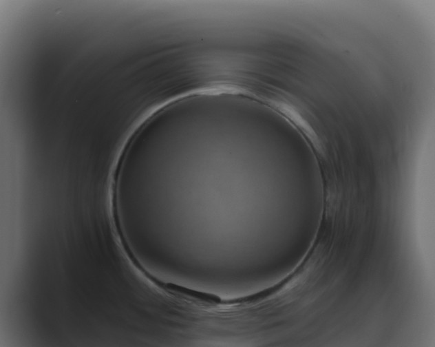 X0000089731484200706281540