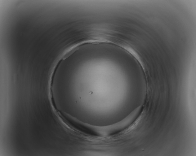 X0000089731485200706281540