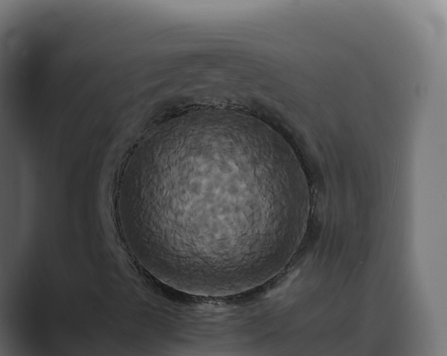 X0000089731489200706281539