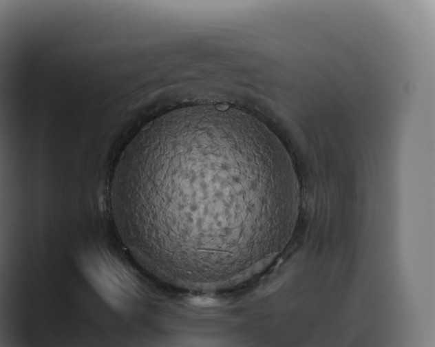 X0000089731490200706281539