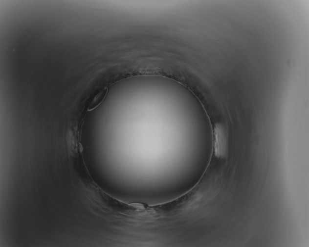 X0000089731491200706281539