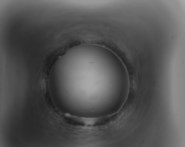 X0000089731493200706281539
