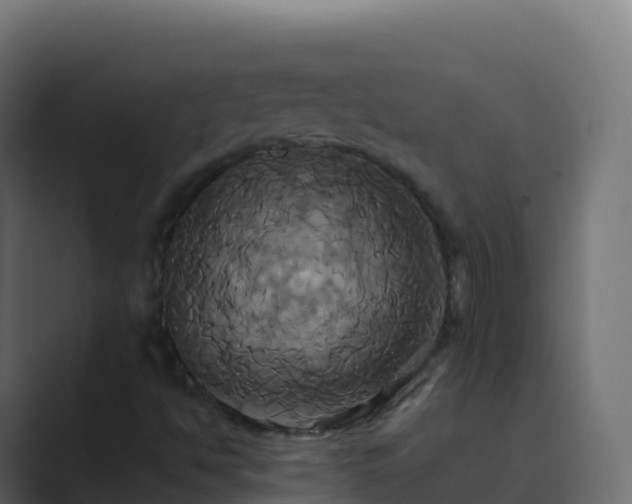 X0000089731494200706281539