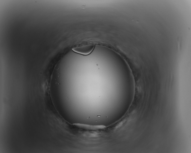 X0000089731495200706281539