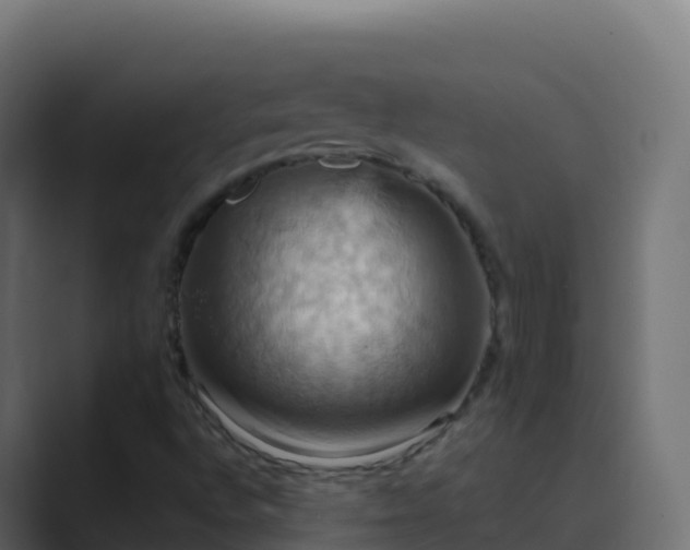 X0000089731496200706281539