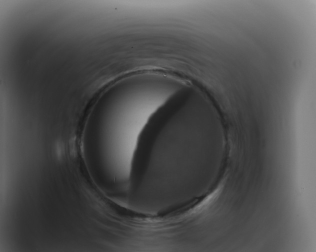 X0000089731497200706281539
