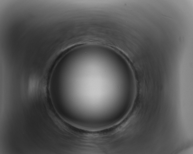 X0000089731499200706281539
