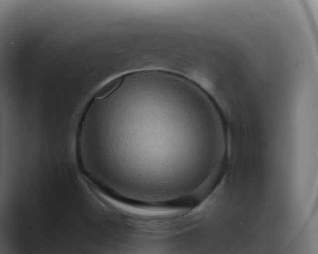 X0000089731500200706281539