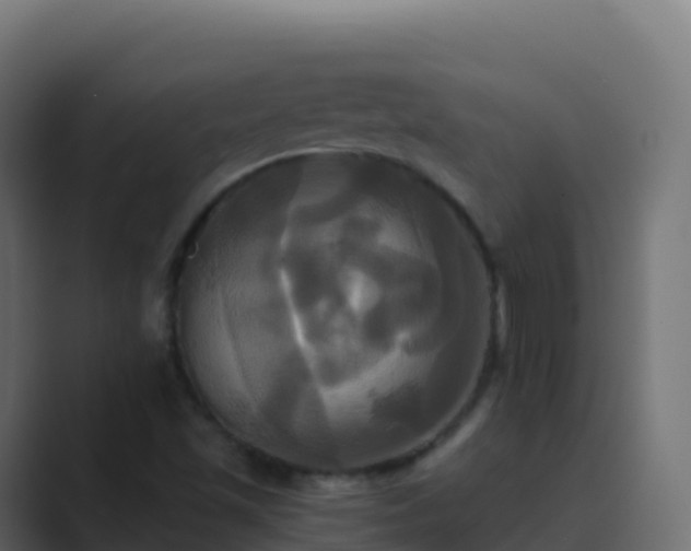 X0000089731501200706281539