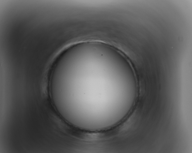 X0000089731502200706281539