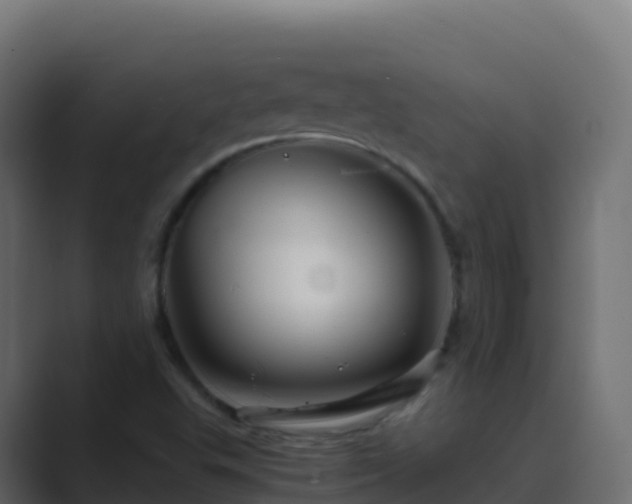 X0000089731503200706281539