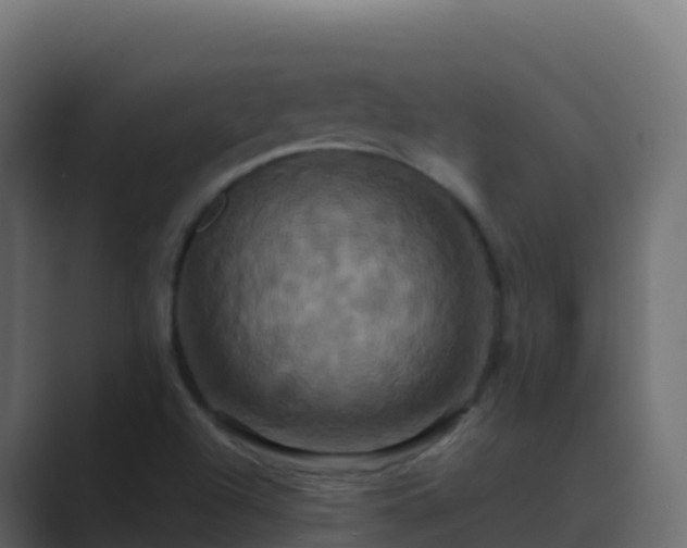 X0000089731504200706281539
