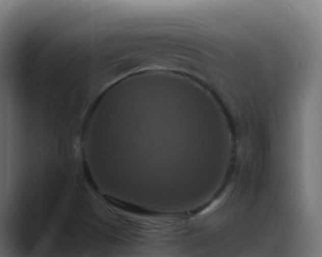 X0000089731505200706281539
