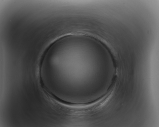 X0000089731506200706281539