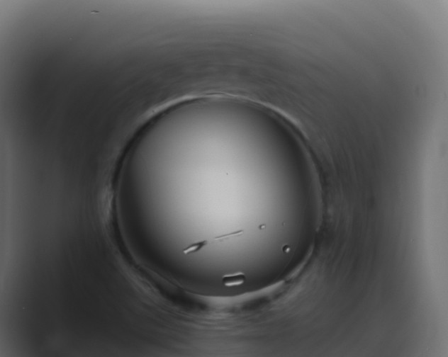 X0000089731507200706281539