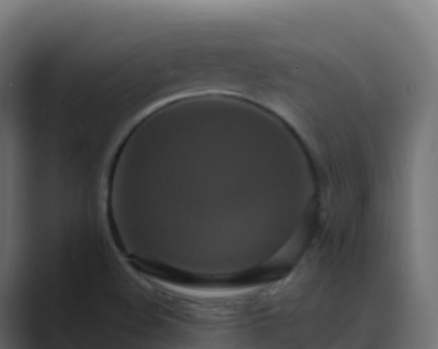 X0000089731508200706281539