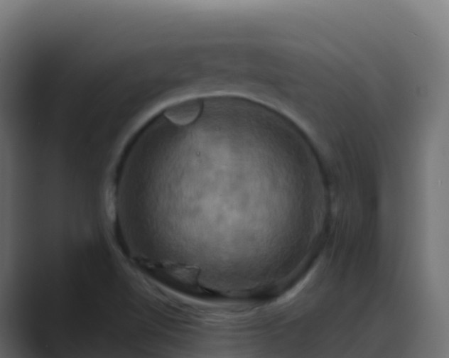 X0000089731510200706281540