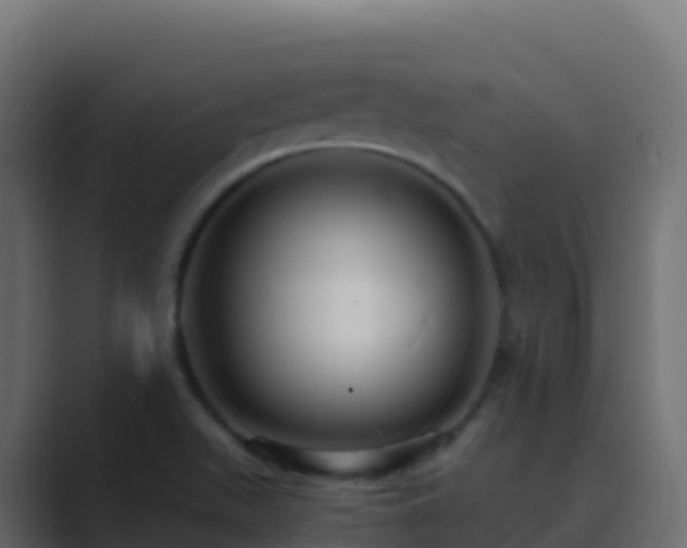 X0000089731511200706281540
