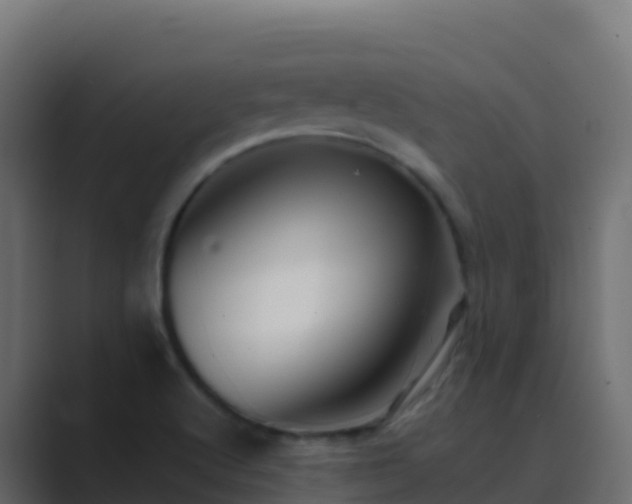 X0000089731512200706281540