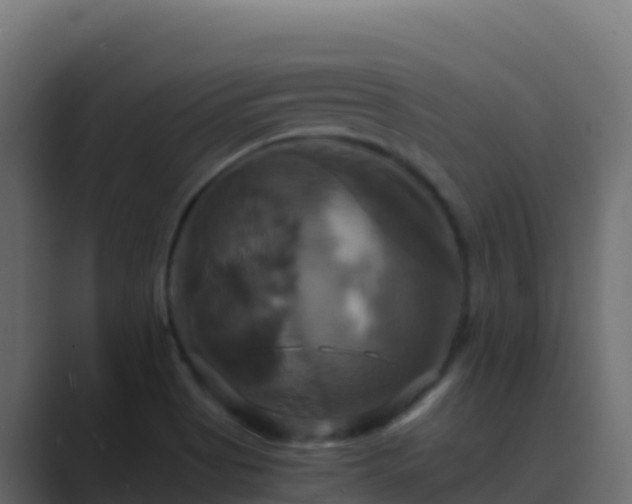 X0000089731513200706281540