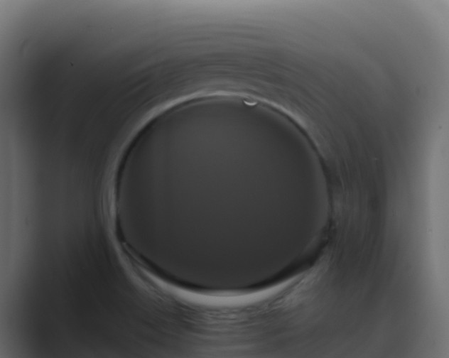 X0000089731515200706281540