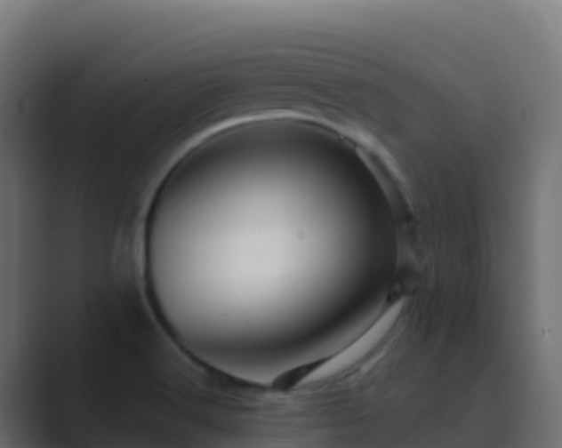 X0000089731516200706281540