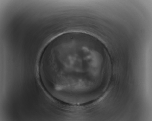 X0000089731517200706281540