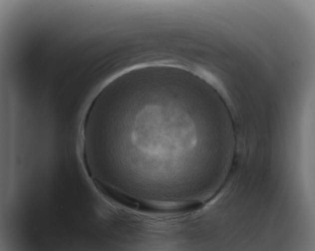 X0000089731520200706281540