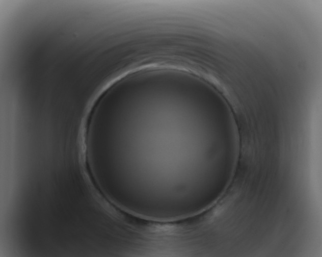 X0000089731522200706281540