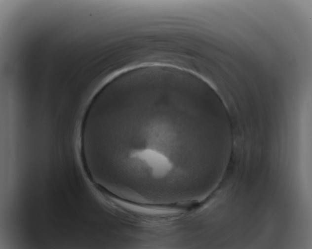 X0000089731523200706281540
