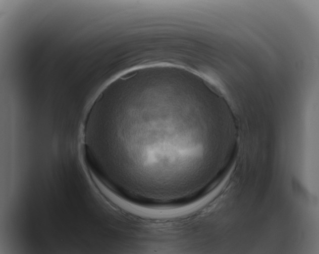 X0000089731524200706281540