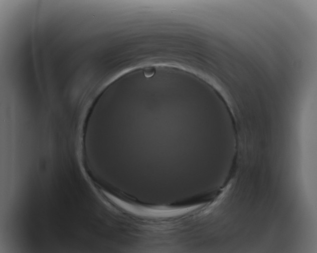 X0000089731525200706281540