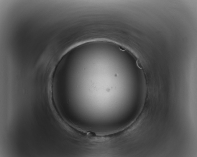 X0000089731526200706281540