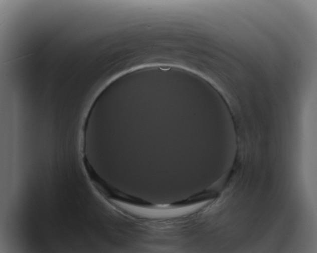 X0000089731527200706281540