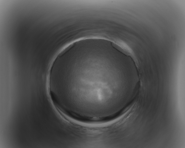 X0000089731528200706281540