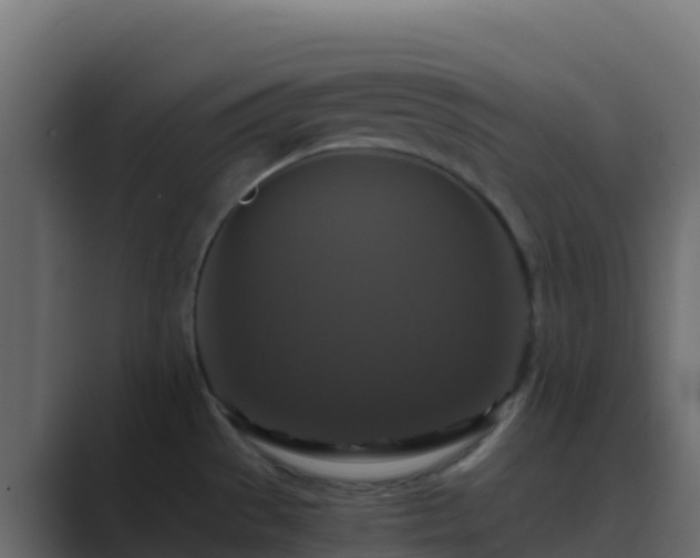 X0000089731529200706281540