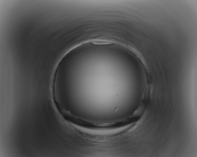 X0000089731530200706281540