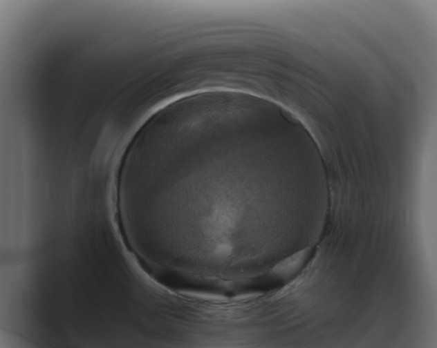 X0000089731531200706281540