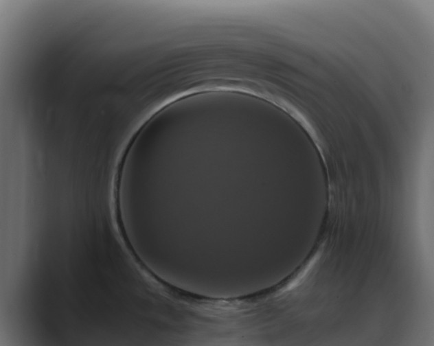 X0000089731533200706281540