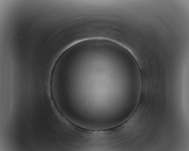 X0000089731534200706281540