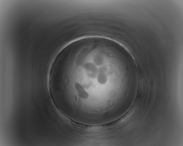 X0000089731535200706281540