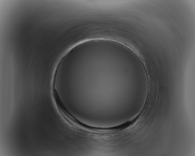 X0000089731536200706281540