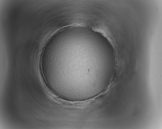 X0000089730001200707051747