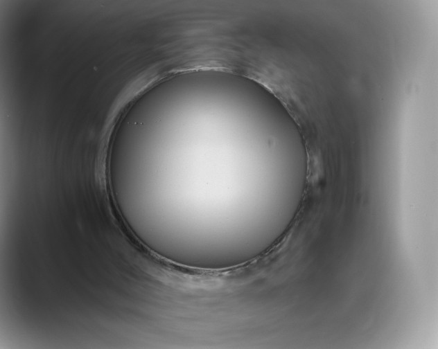 X0000089730004200707051747