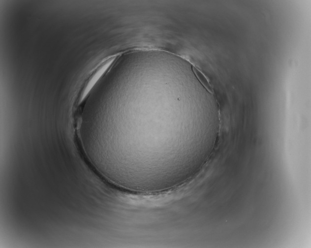 X0000089730005200707051747