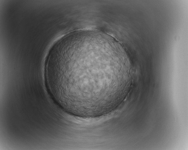 X0000089730006200707051747