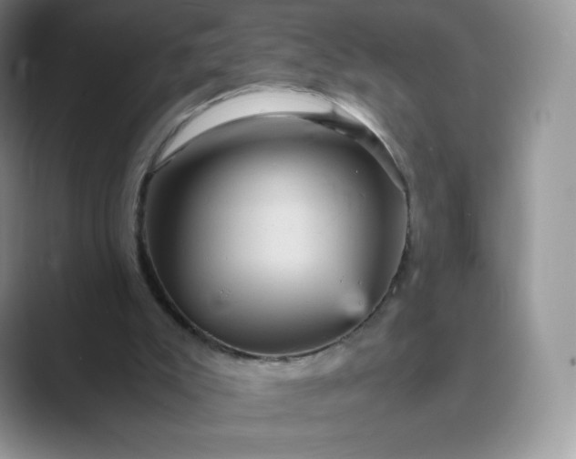 X0000089730007200707051747