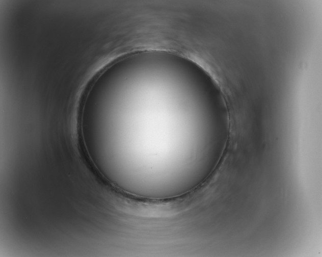 X0000089730008200707051747