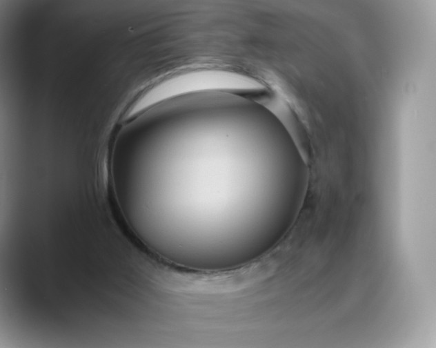 X0000089730011200707051747